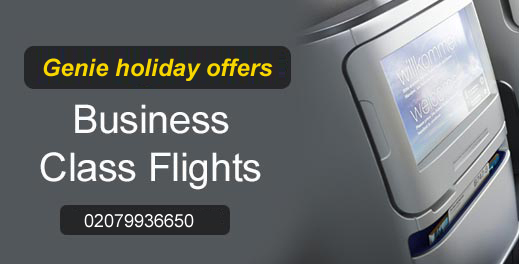 Business Class tickets 2018 fare for mobile user